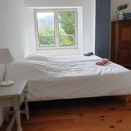 La Bergerie, Maison Spacieuse Avec Grand Jardin, Vue Sur Les Pyrenees Lourdes Luaran gambar